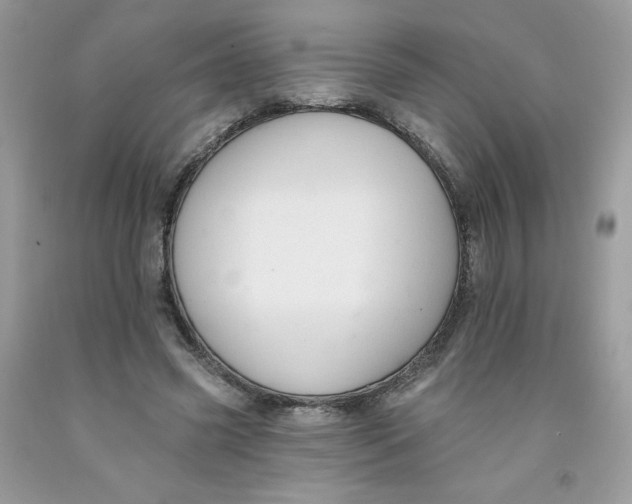 X0000091700541200709141101