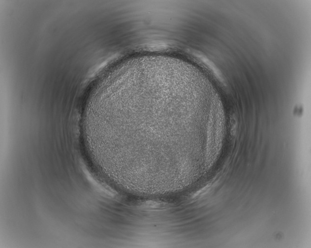 X0000091700542200709141101