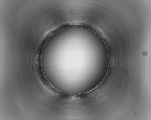 X0000091700543200709141101