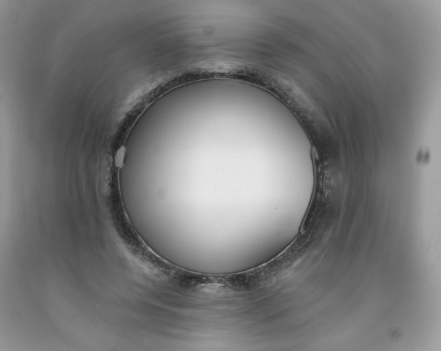 X0000091700544200709141101