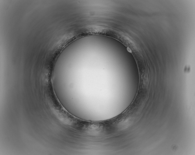 X0000091700546200709141101