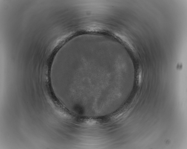 X0000091700547200709141101