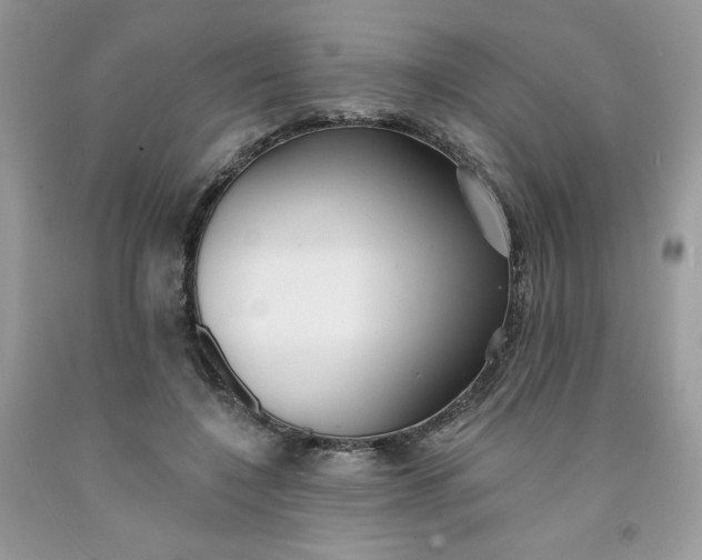 X0000091700548200709141101