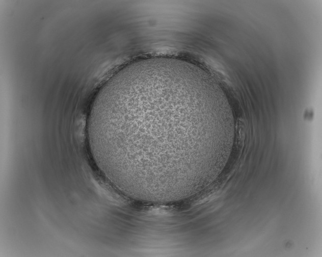 X0000091700550200709141101