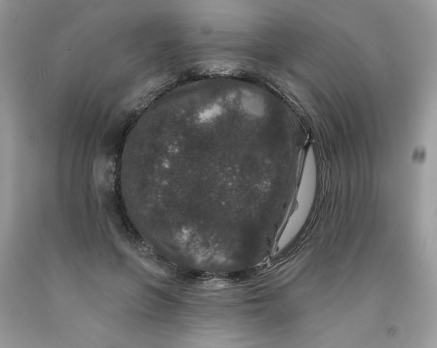 X0000091700551200709141101