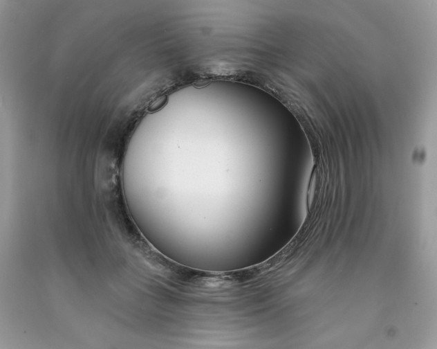 X0000091700555200709141102