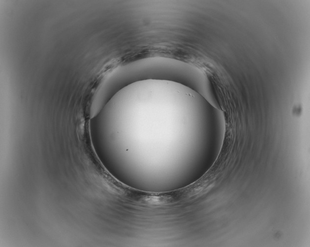 X0000091700558200709141102