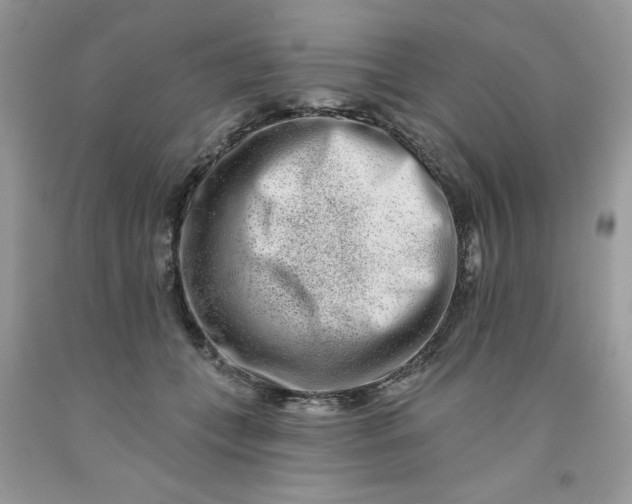 X0000091700559200709141102