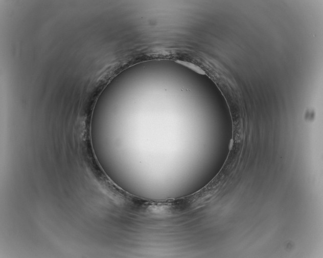 X0000091700560200709141102