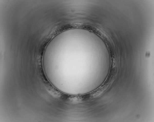 X0000091700561200709141102