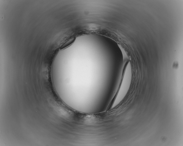 X0000091700562200709141102