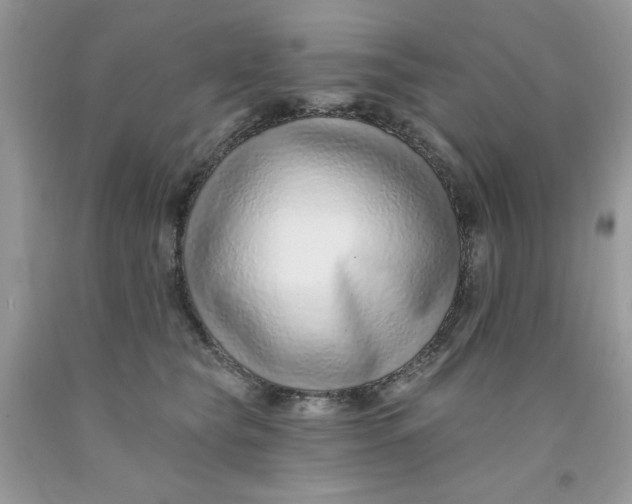 X0000091700565200709141102