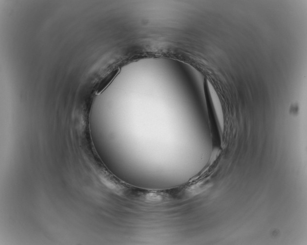 X0000091700566200709141102