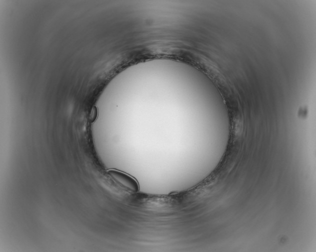 X0000091700567200709141102