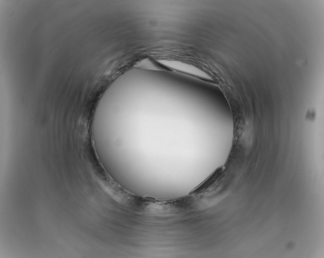 X0000091700568200709141102