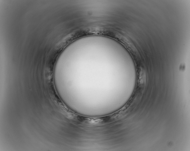 X0000091700569200709141102