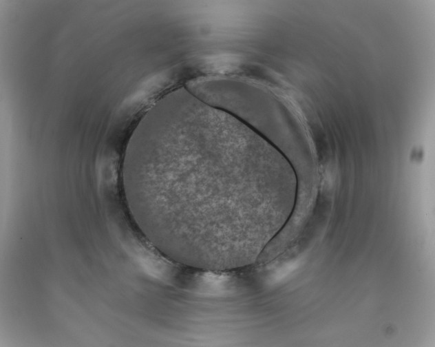 X0000091700570200709141102