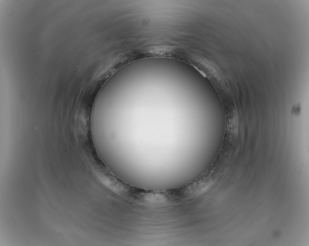 X0000091700572200709141102