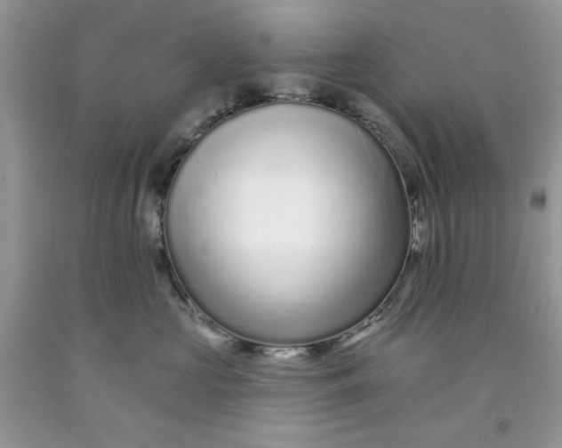 X0000091700573200709141102