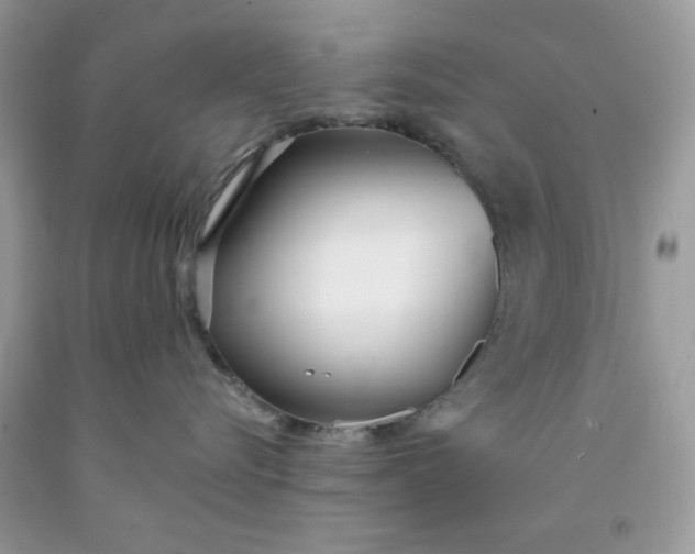 X0000091700576200709141102