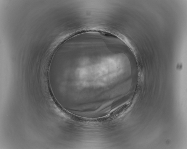 X0000091700577200709141101