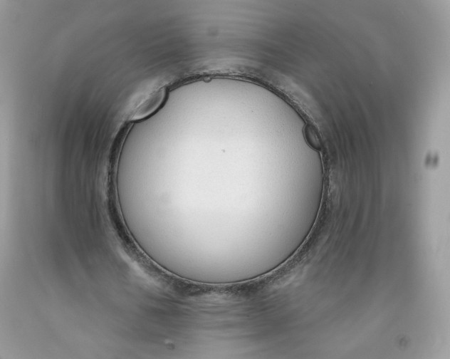 X0000091700578200709141101