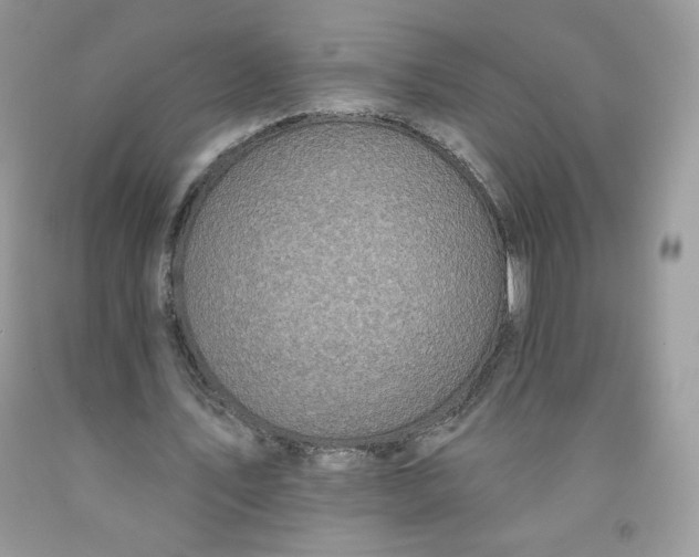 X0000091700579200709141101