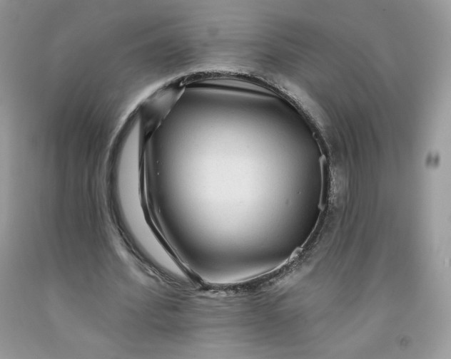 X0000091700580200709141101