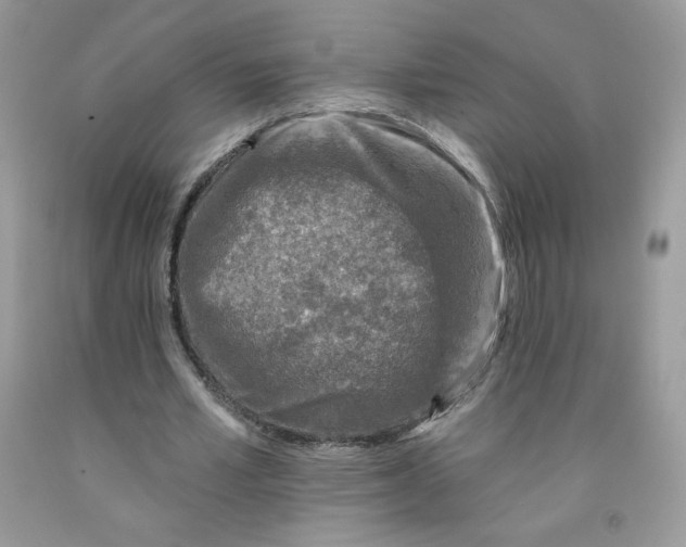 X0000091700581200709141101