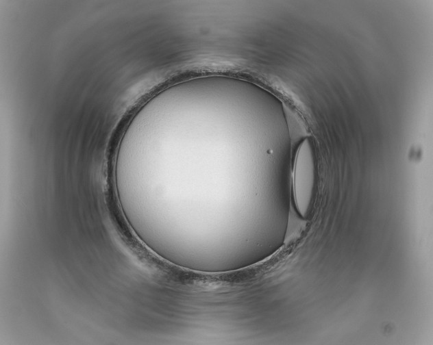 X0000091700582200709141101