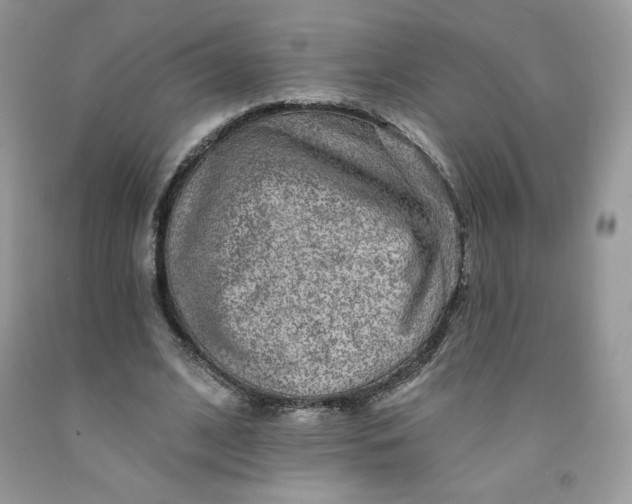 X0000091700584200709141101