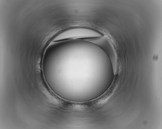 X0000091700585200709141101