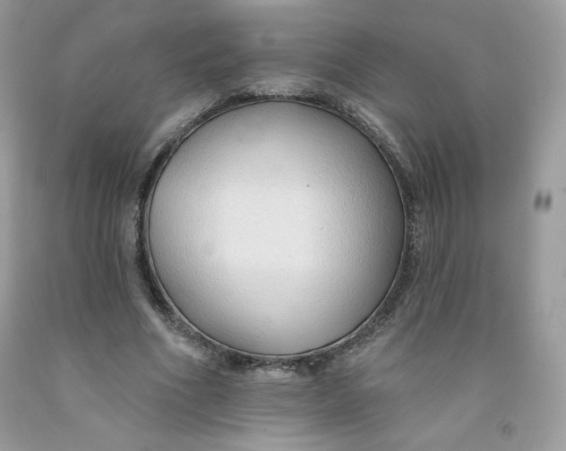 X0000091700586200709141101