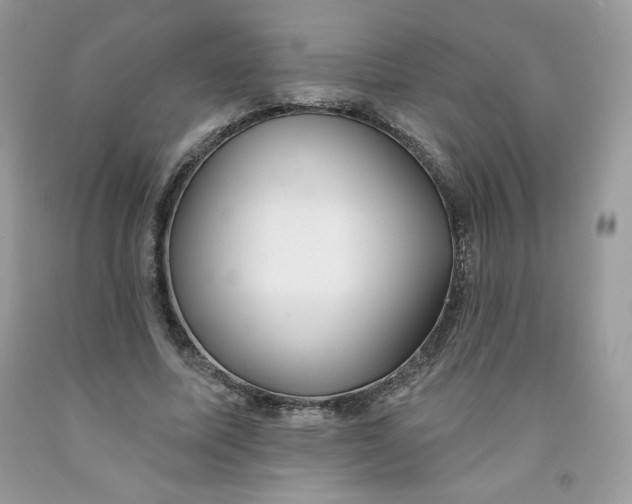 X0000091700587200709141101