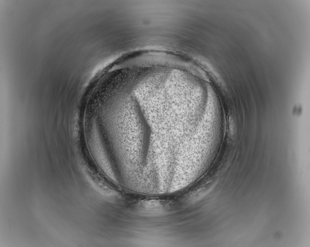 X0000091700588200709141101