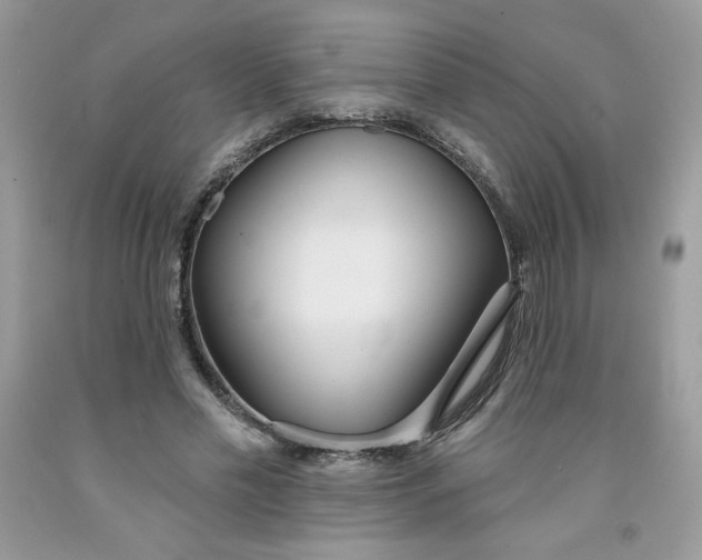 X0000091700589200709141101