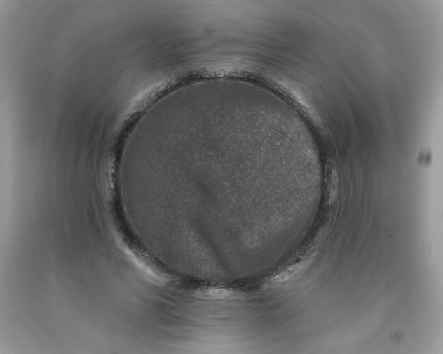 X0000091700590200709141101