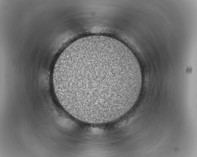 X0000091700592200709141101