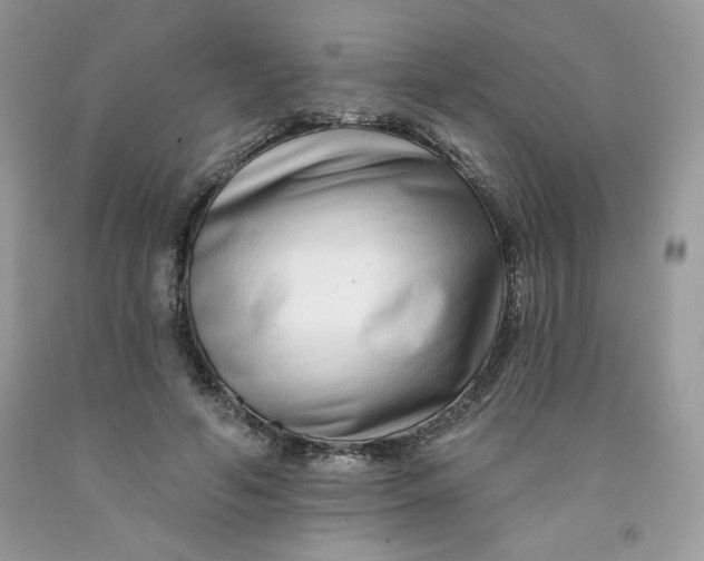 X0000091700594200709141101