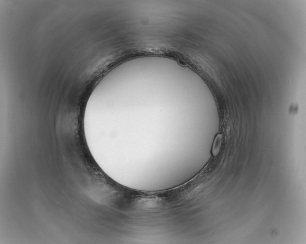 X0000091700595200709141101