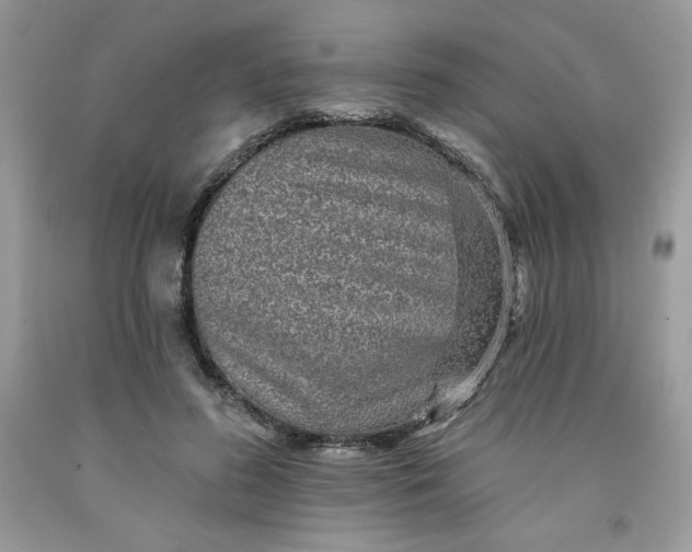 X0000091700596200709141101