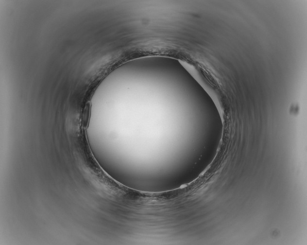 X0000091700597200709141101