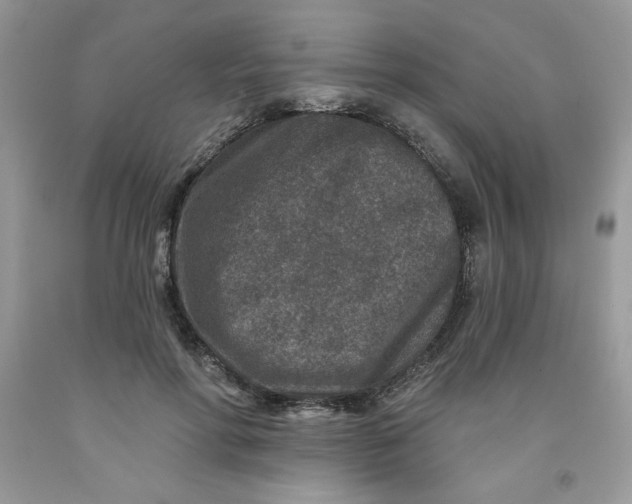 X0000091700598200709141101