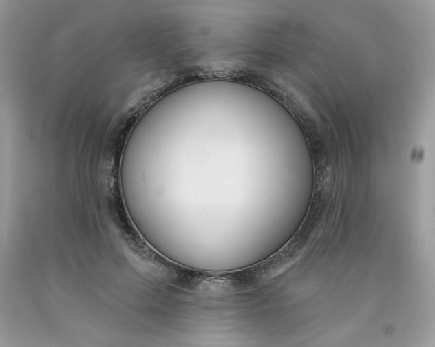 X0000091700599200709141101