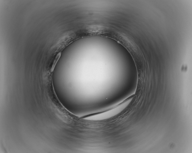 X0000091700601200709141101