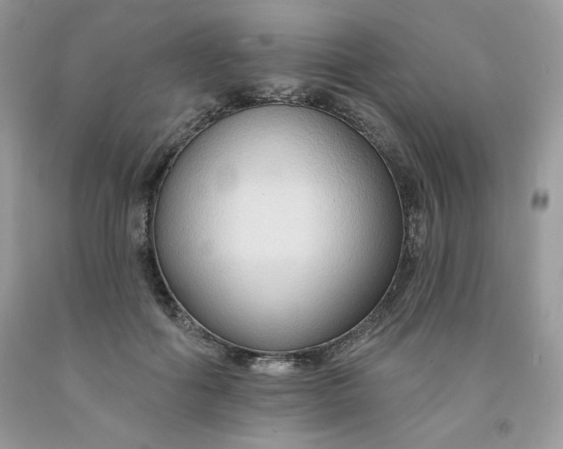 X0000091700602200709141101