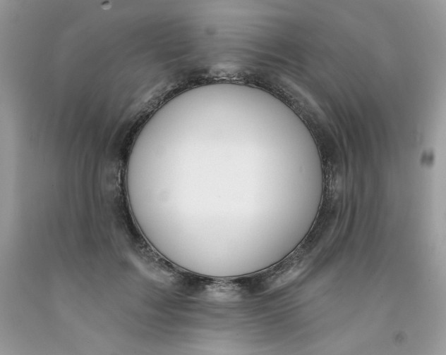 X0000091700603200709141101