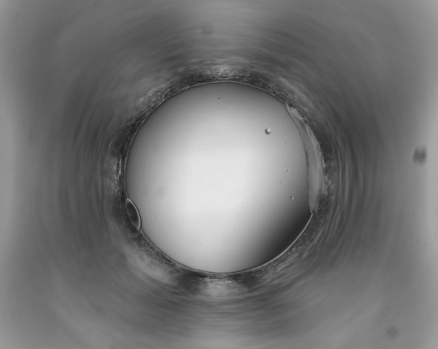 X0000091700605200709141101