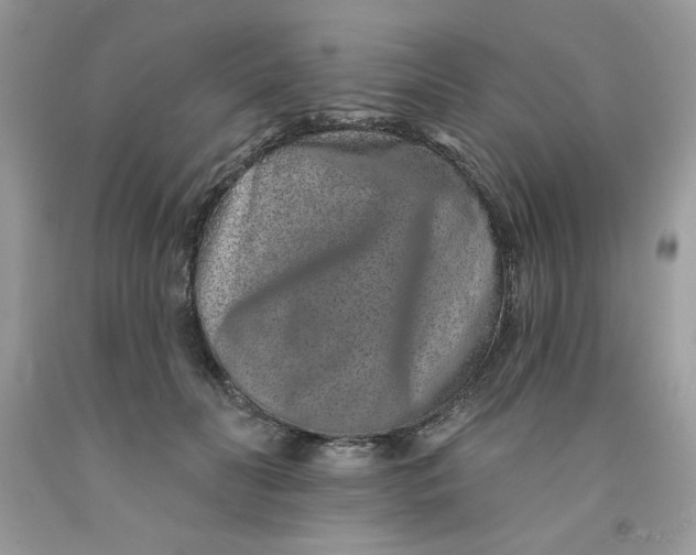 X0000091700606200709141101