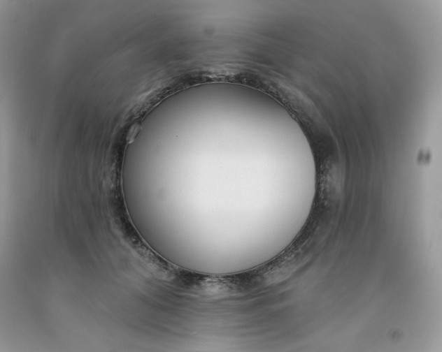 X0000091700608200709141101